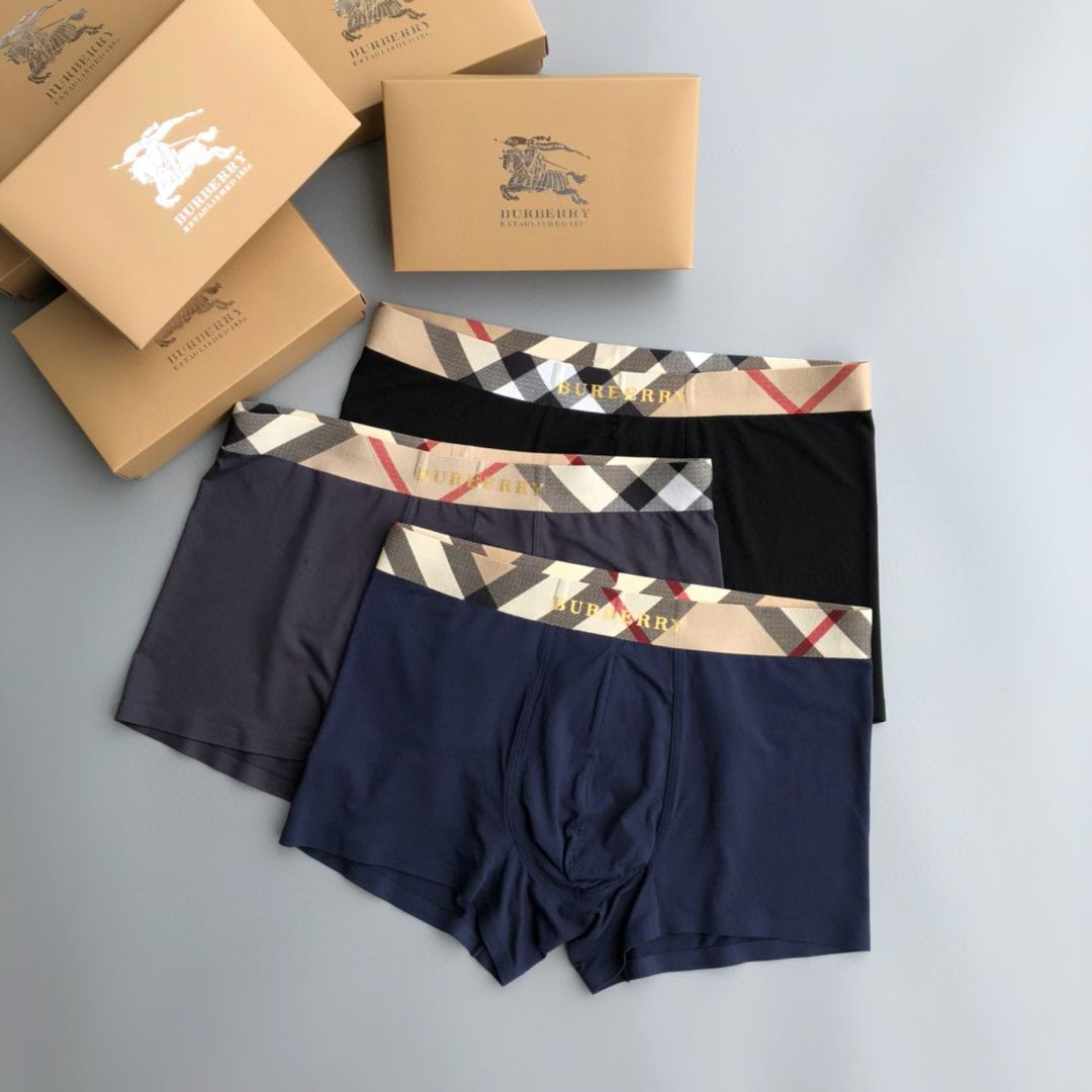 Burberry CheckBand Briefs – IconLine Edition