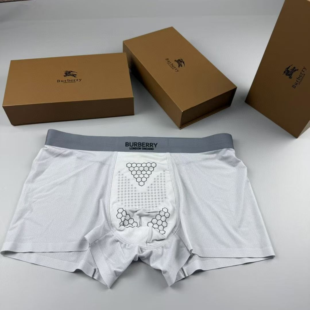 Burberry HexBand Briefs – London Crest Edition