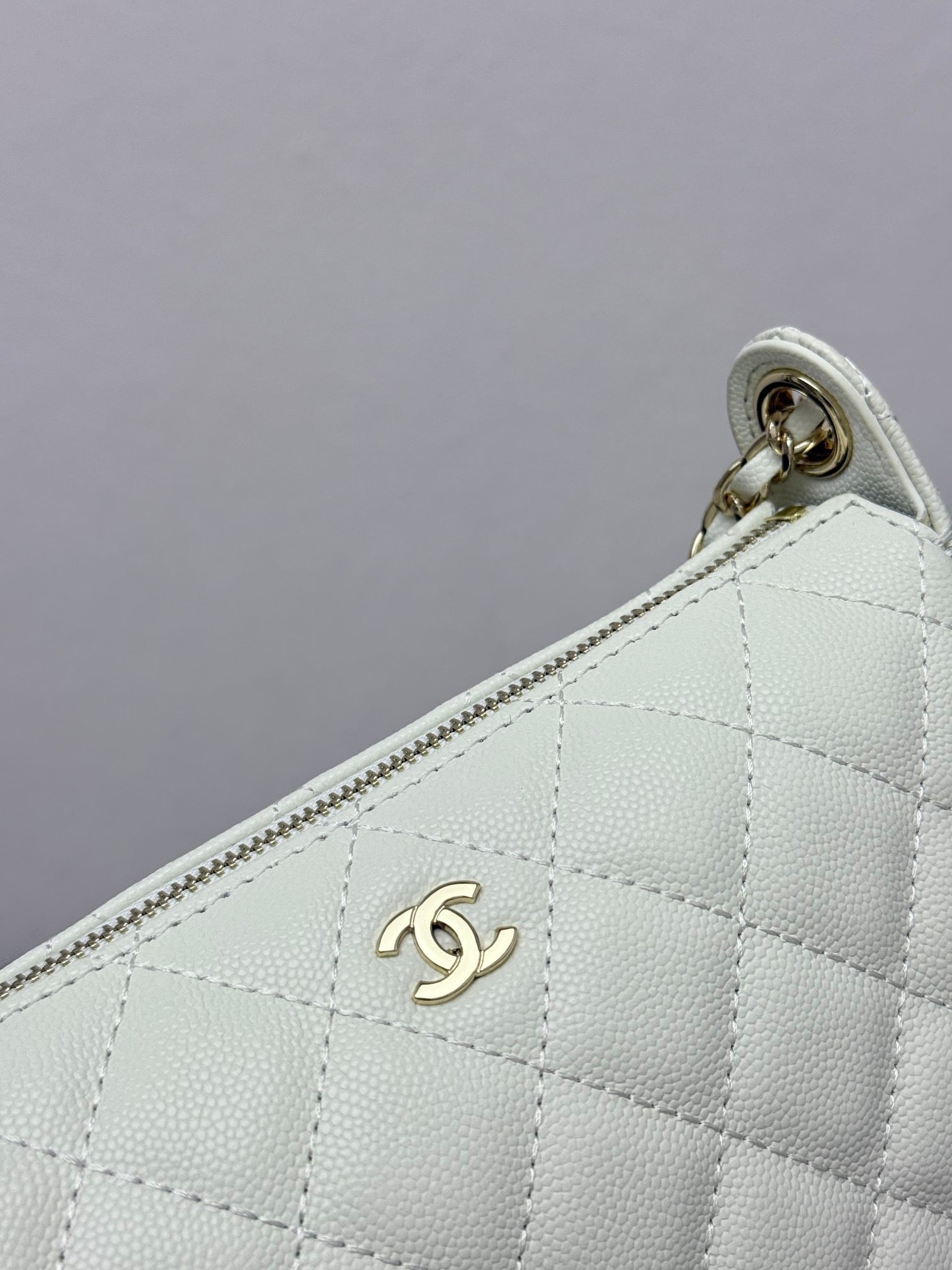 Chanel Classic Flap Bag Collection – Six Color Variants