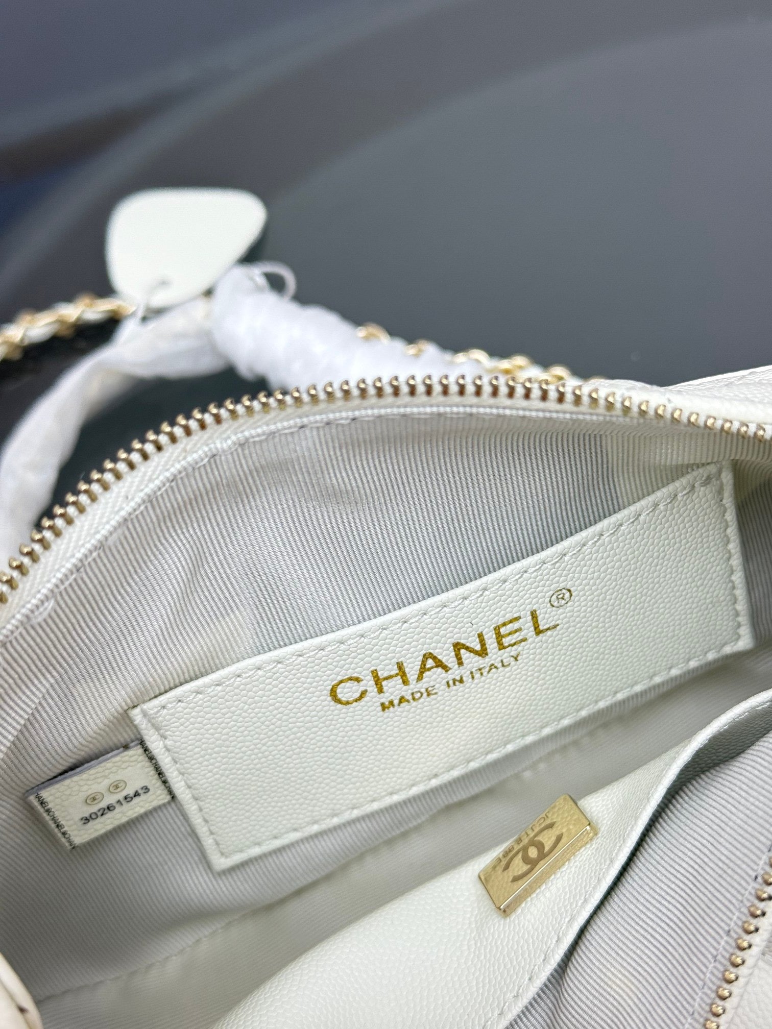 Chanel Classic Flap Bag Collection – Six Color Variants