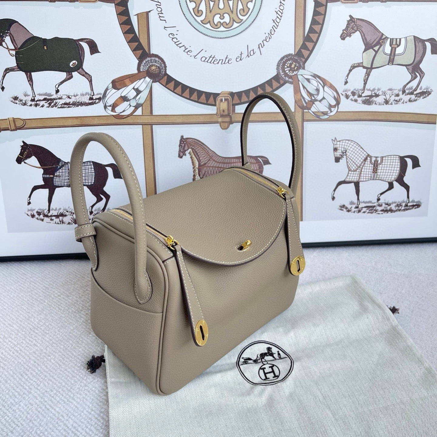 Luxury Structured Handbag Collection – Pebbled & Croc-Textured Leather with Metallic Hardware