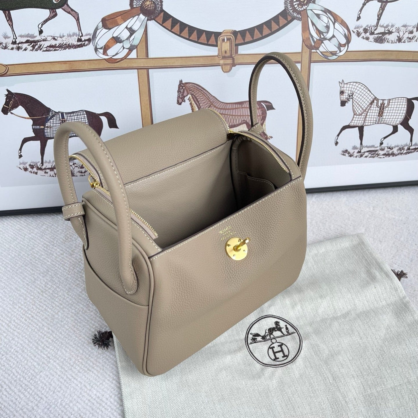 Luxury Structured Handbag Collection – Pebbled & Croc-Textured Leather with Metallic Hardware