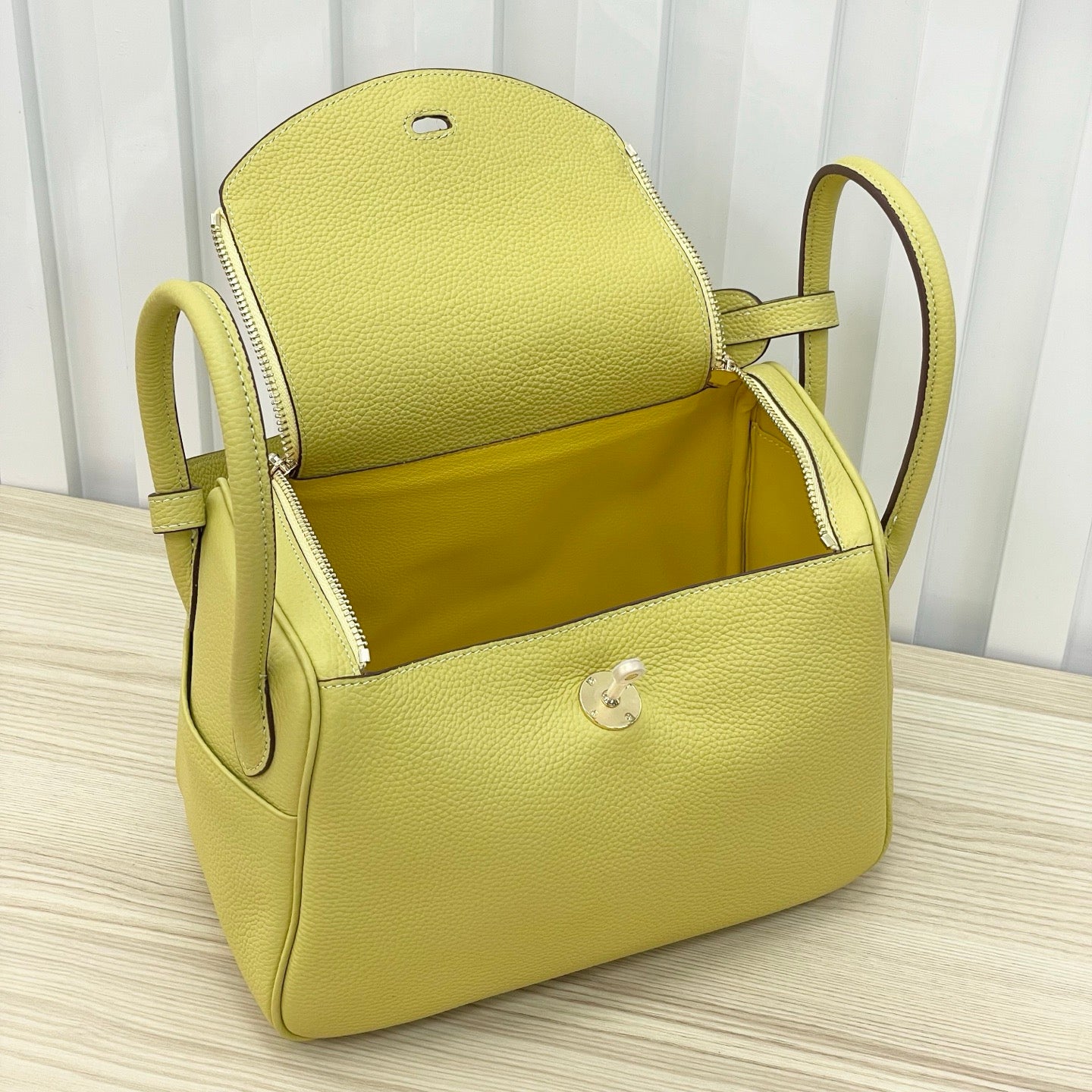 Luxury Structured Handbag Collection – Pebbled & Croc-Textured Leather with Metallic Hardware