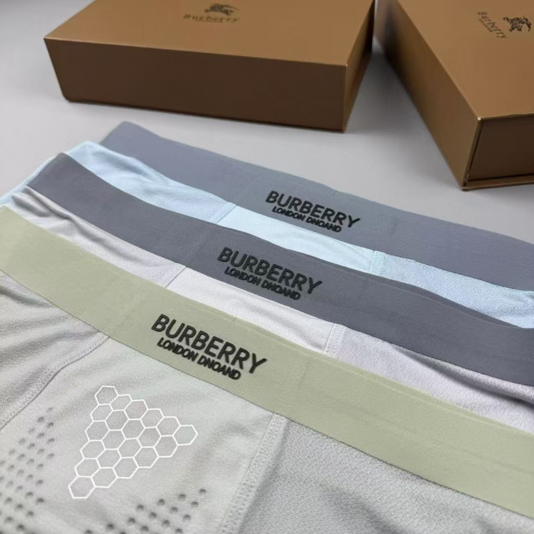 Burberry HexBand Briefs – London Crest Edition