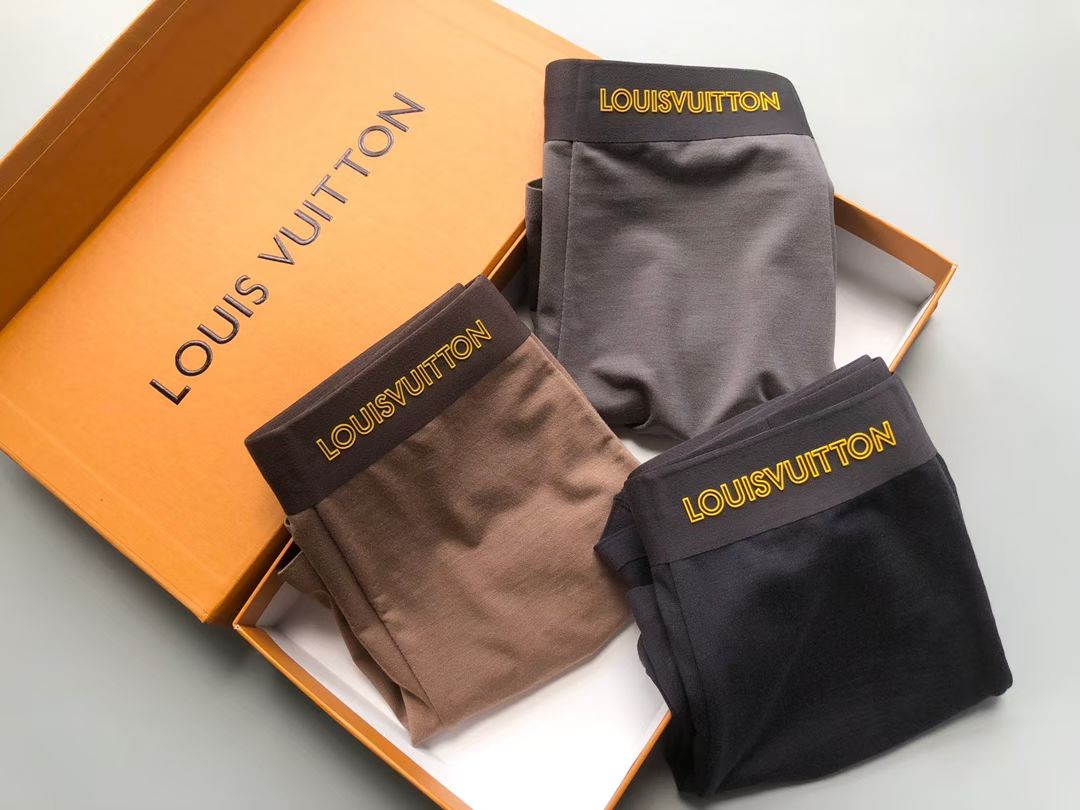 Louis Vuitton Earthline Briefs – Golden Monogram Edition
