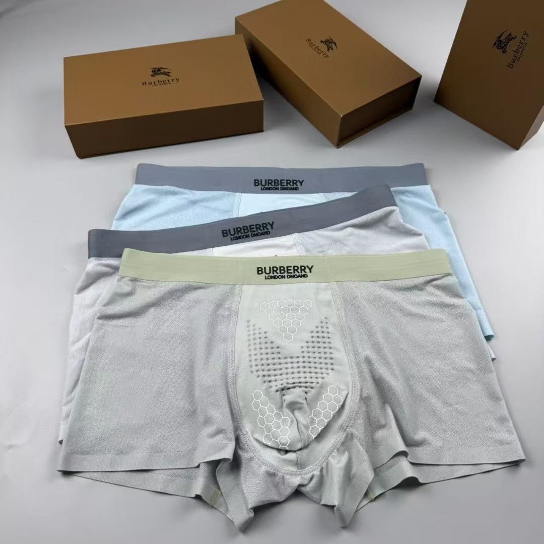 Burberry HexBand Briefs – London Crest Edition