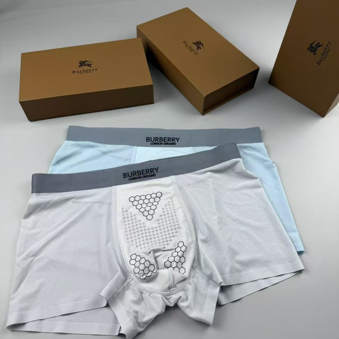 Burberry HexBand Briefs – London Crest Edition