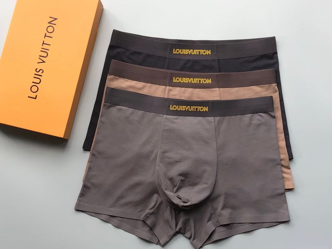 Louis Vuitton Earthline Briefs – Golden Monogram Edition