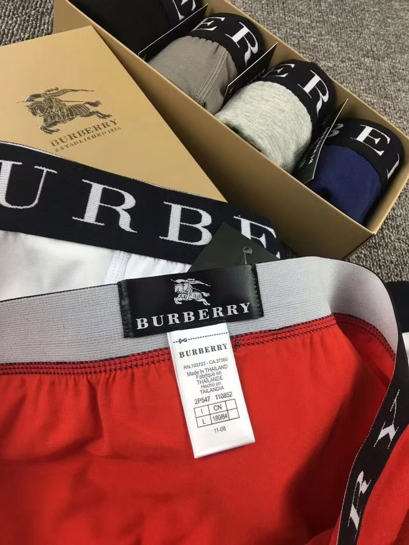 Burberry BoldBand Briefs – Modern Crest Edition
