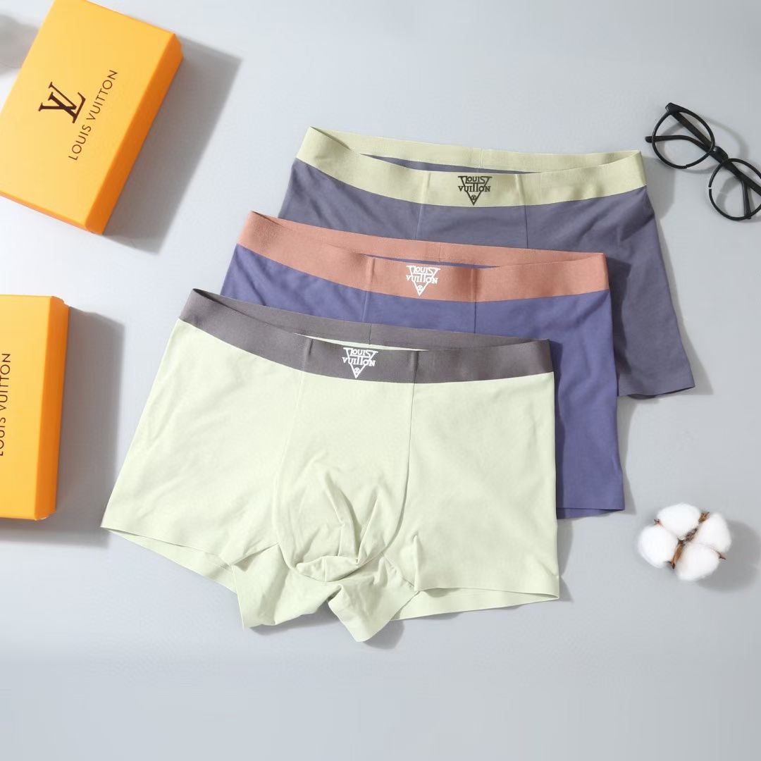 Louis Vuitton GeoCore Briefs – TriMark Edition