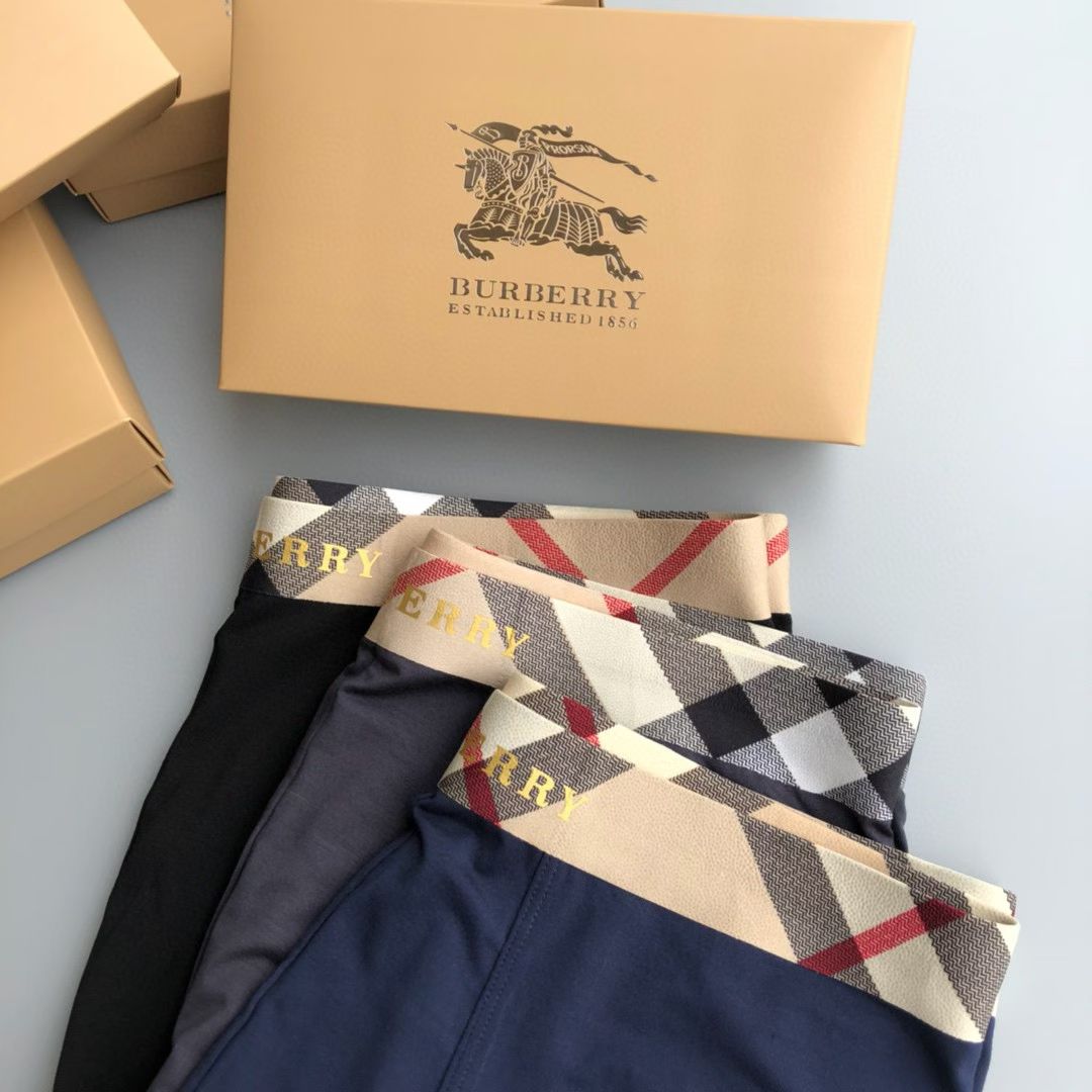 Burberry CheckBand Briefs – IconLine Edition
