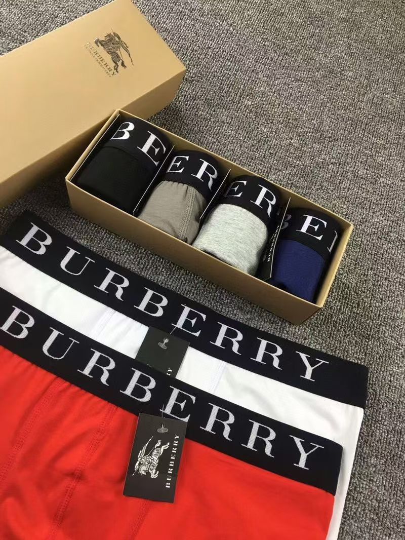 Burberry BoldBand Briefs – Modern Crest Edition