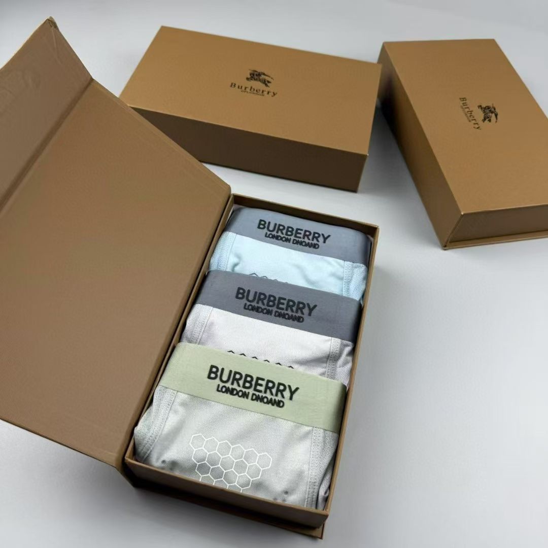 Burberry HexBand Briefs – London Crest Edition