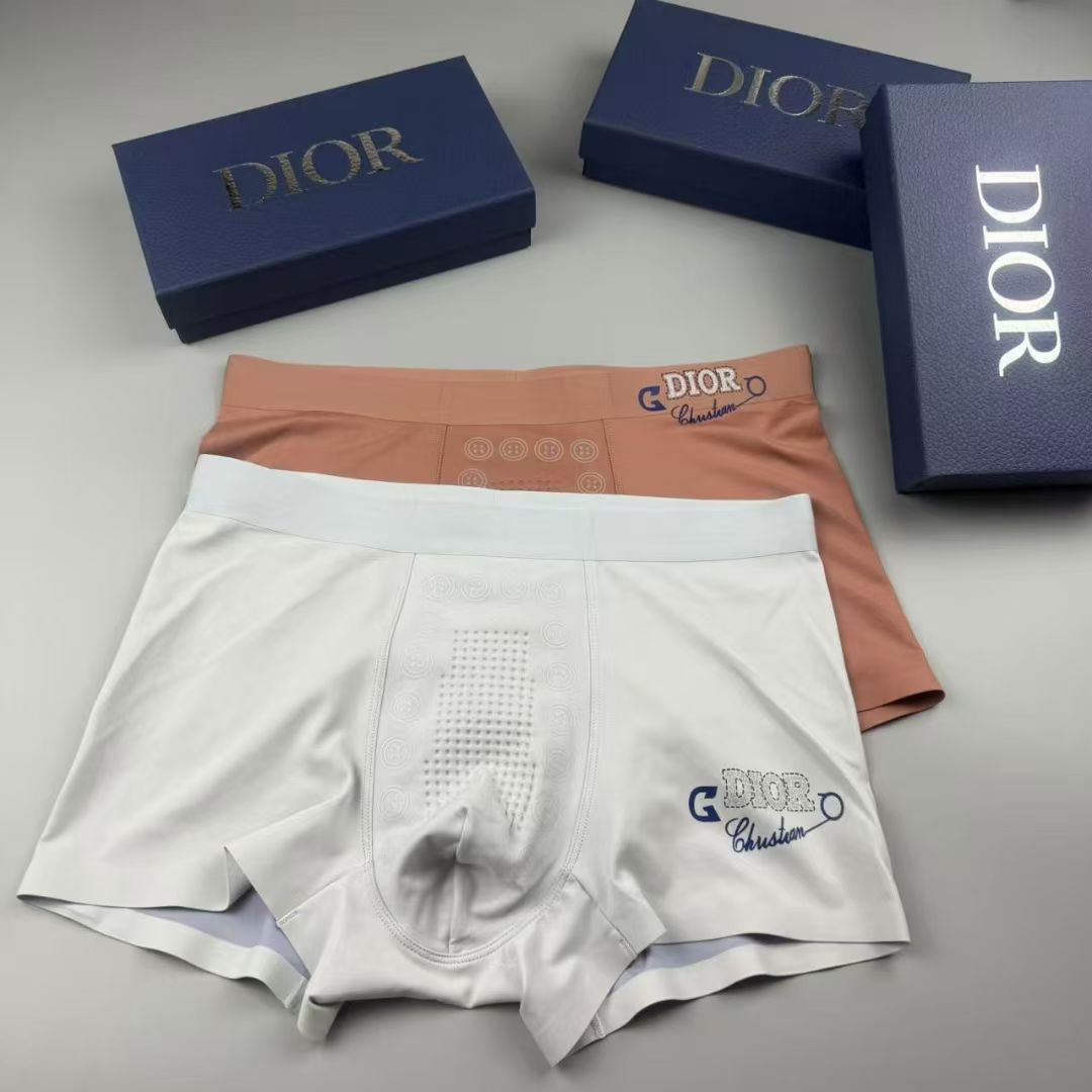 Christian Dior SoftMark Briefs – Pastel Emblem Edition