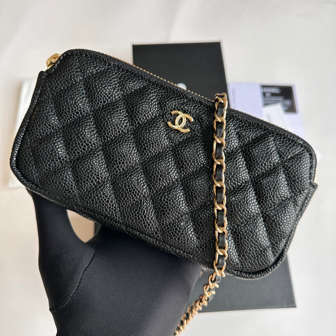 Chanel Quilted Chain Flap Handbag Collection – Classic CC Edition