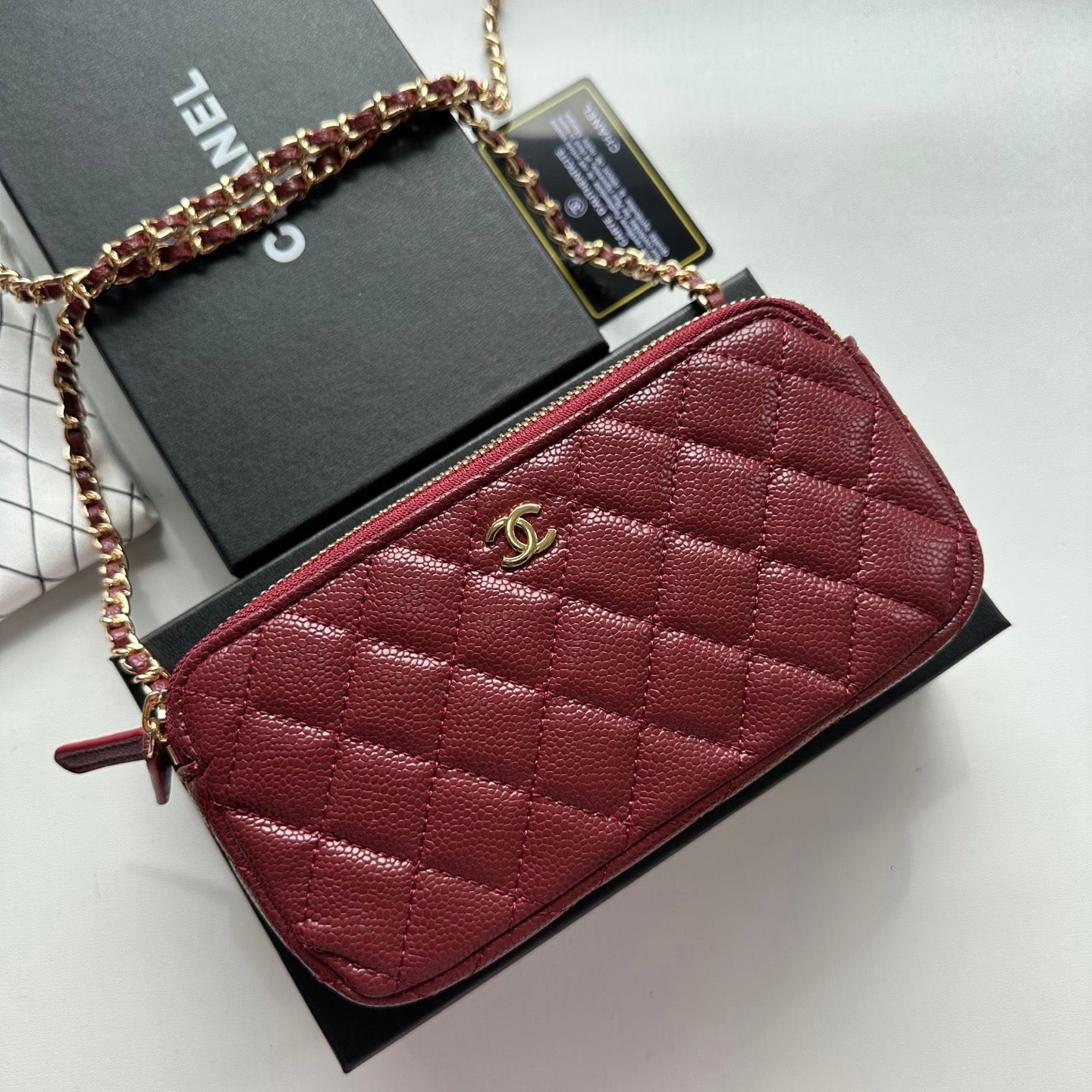 Chanel Quilted Chain Flap Handbag Collection – Classic CC Edition