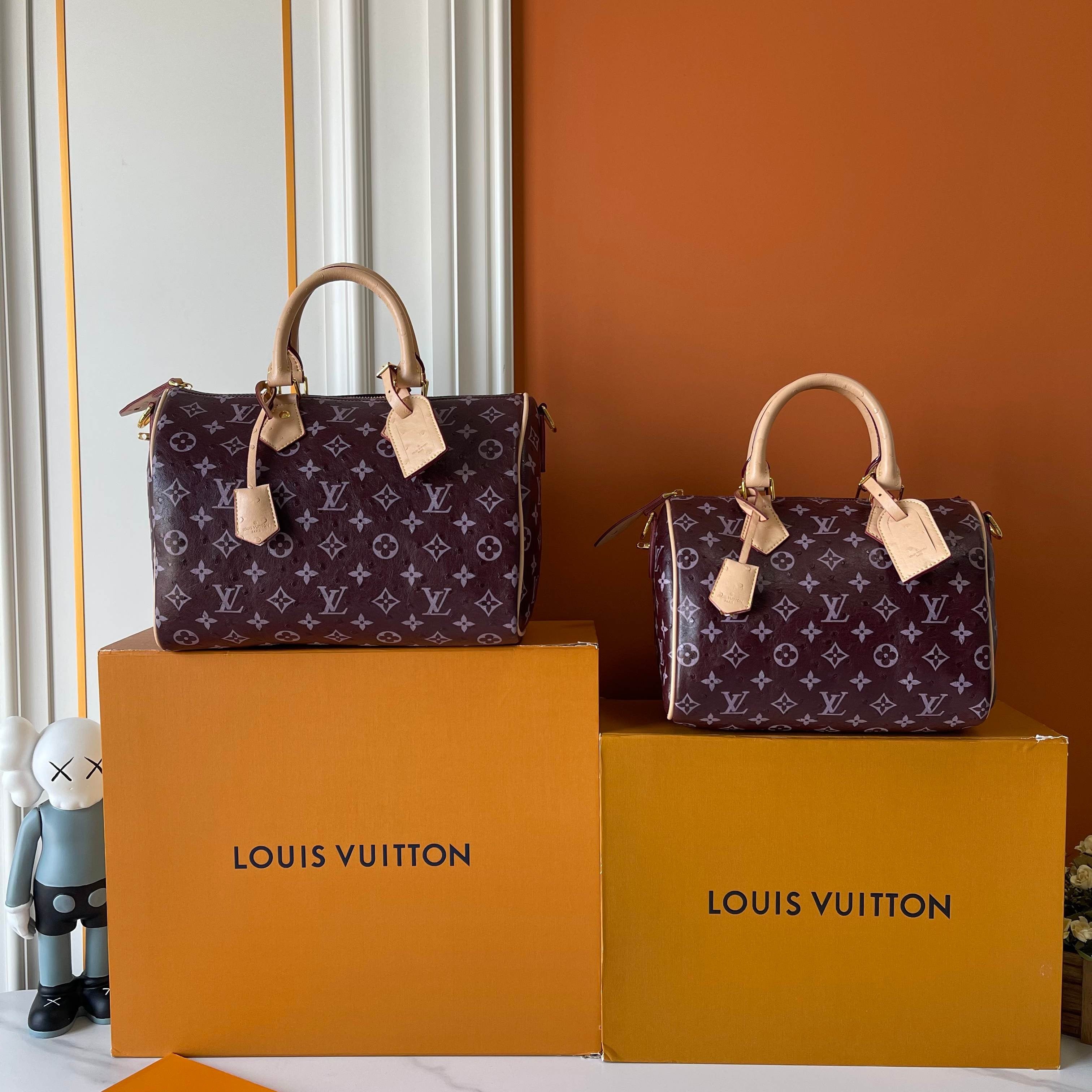 Louis Vuitton Classic Monogram Handbag Duo – Heritage Elegance Edition