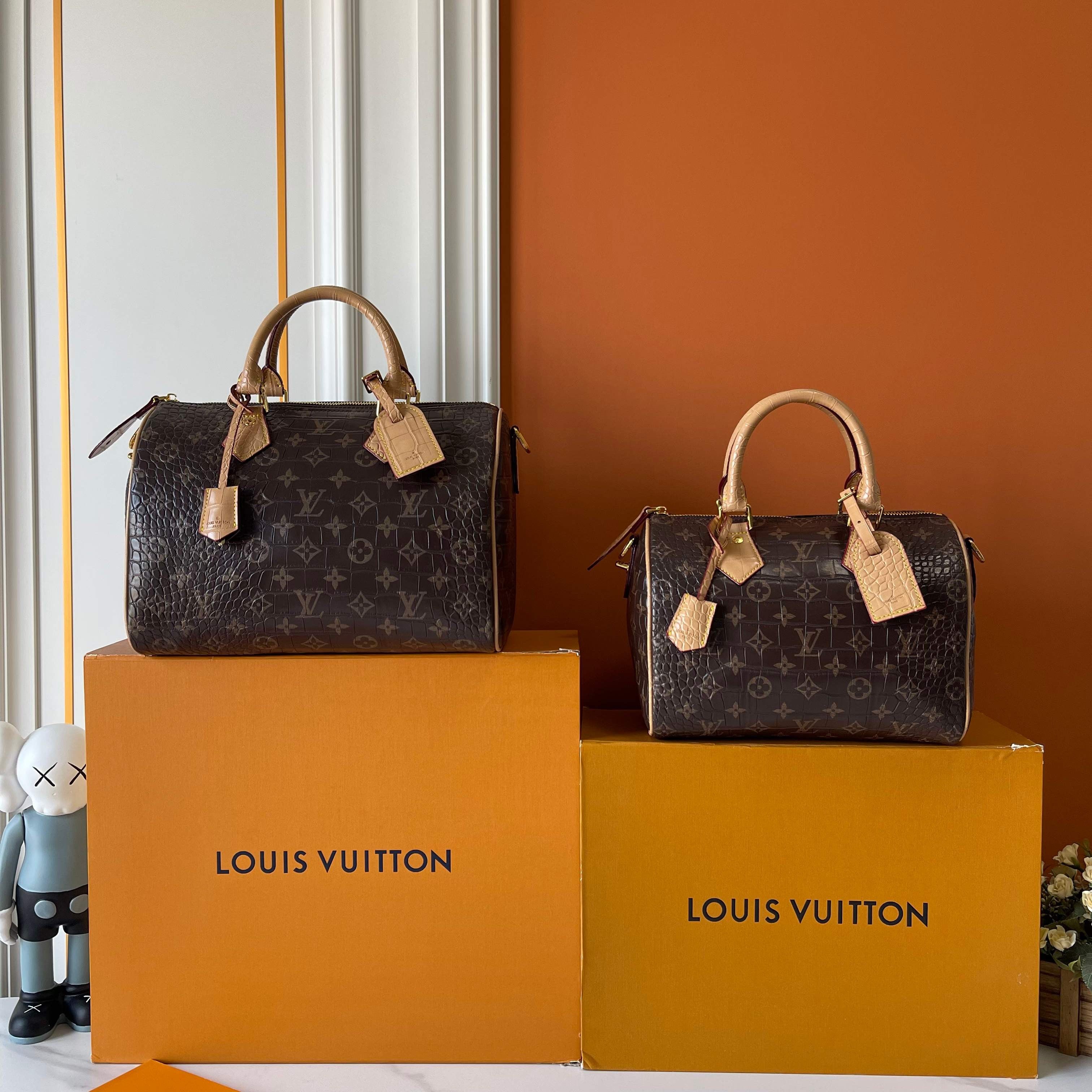 Louis Vuitton Classic Monogram Handbag Duo – Heritage Elegance Edition