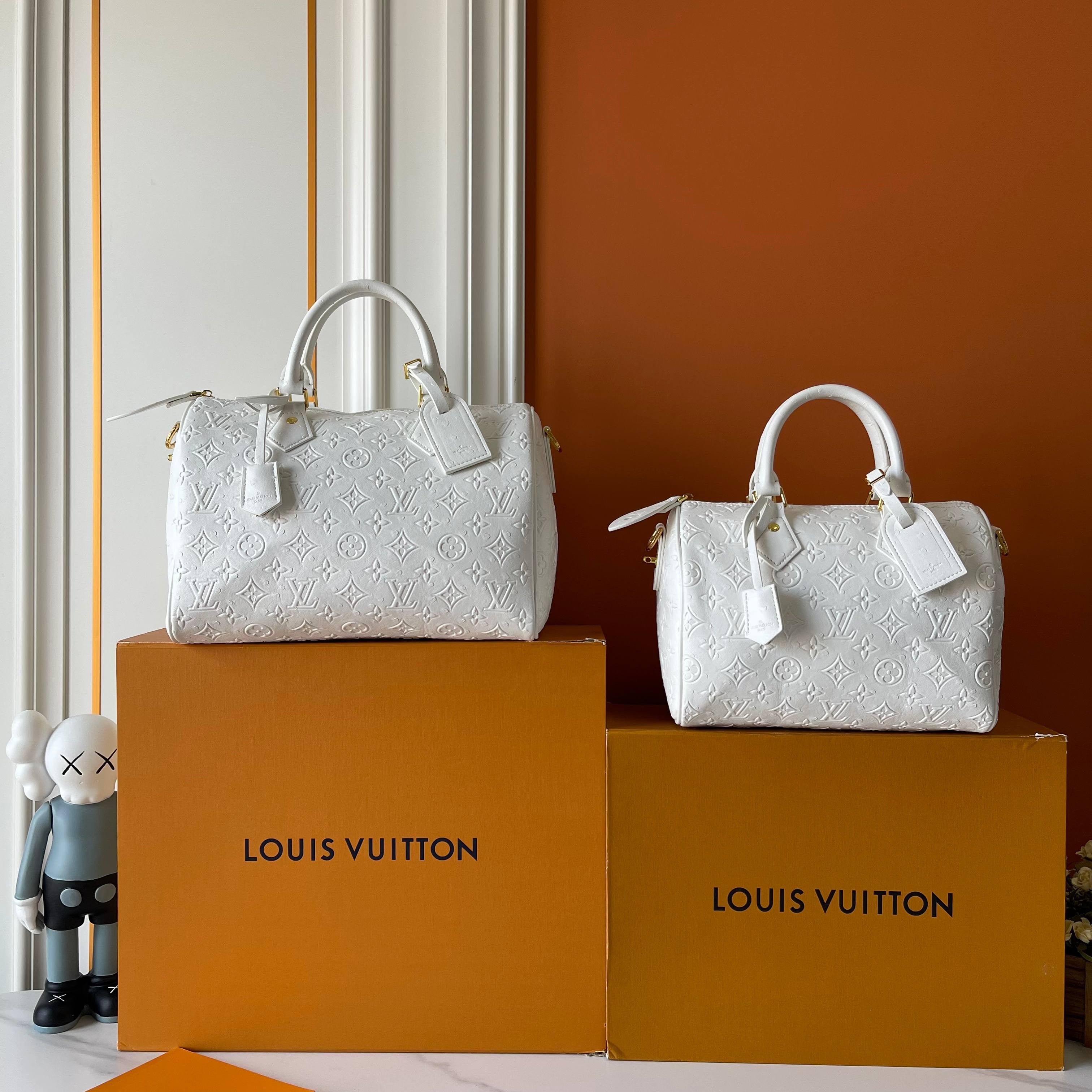 Louis Vuitton Classic Monogram Handbag Duo – Heritage Elegance Edition