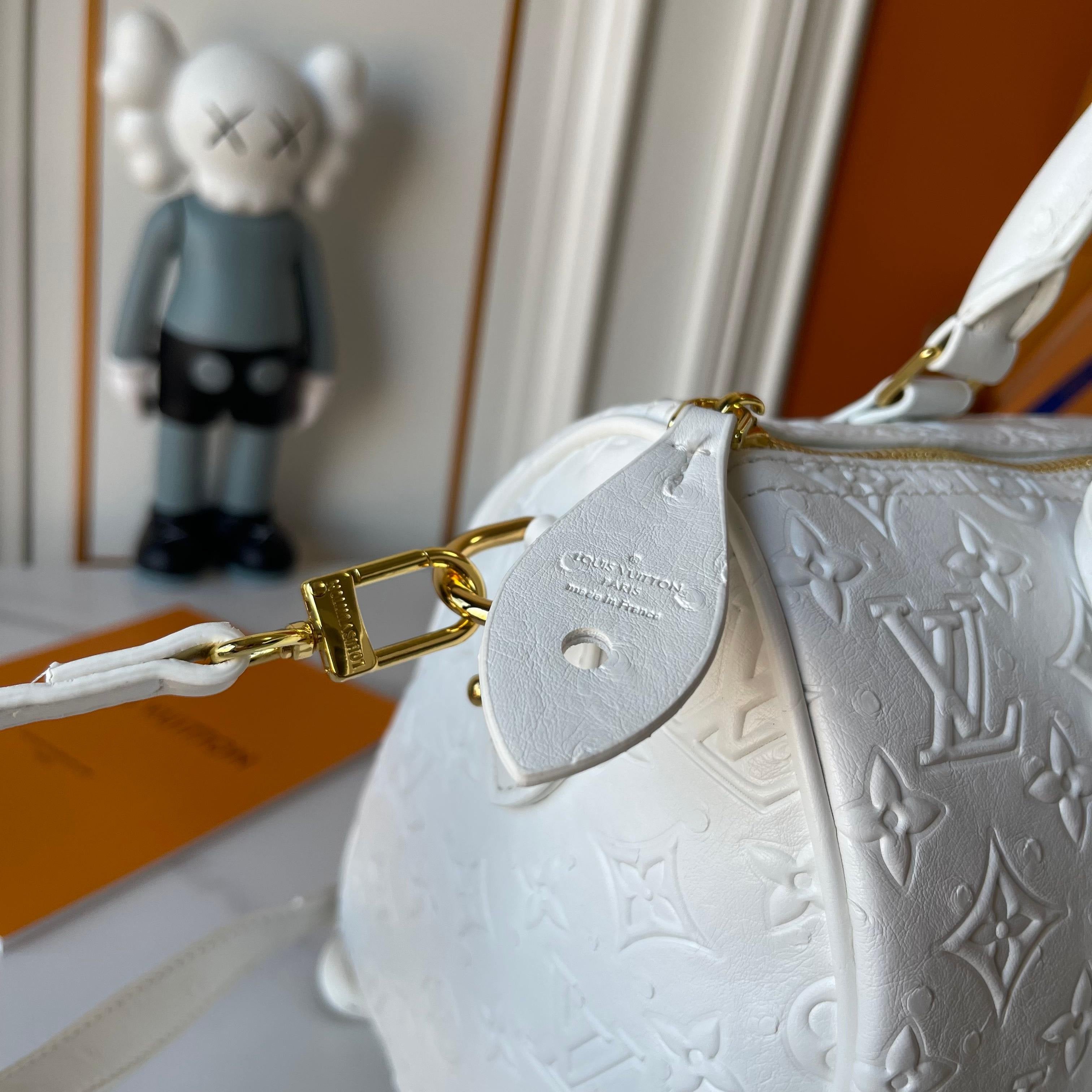 Louis Vuitton Classic Monogram Handbag Duo – Heritage Elegance Edition