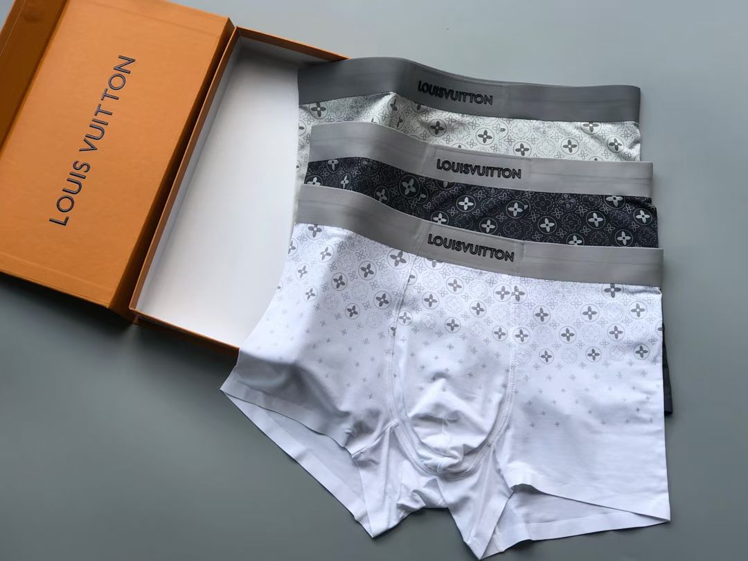 Louis Vuitton MonogramCore Briefs – Signature Fade Edition