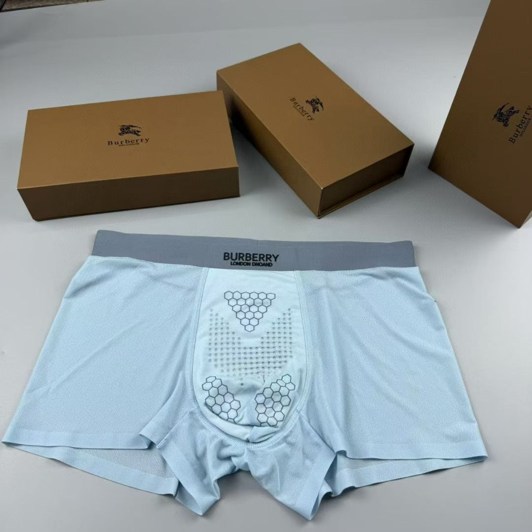 Burberry HexBand Briefs – London Crest Edition