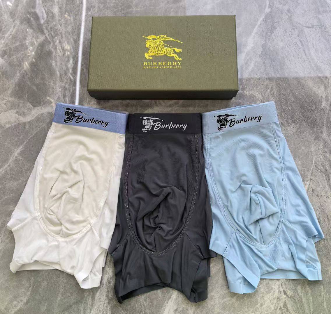 Burberry CrestLine Briefs – Heritage Edition