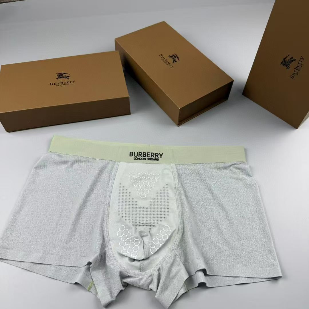 Burberry HexBand Briefs – London Crest Edition