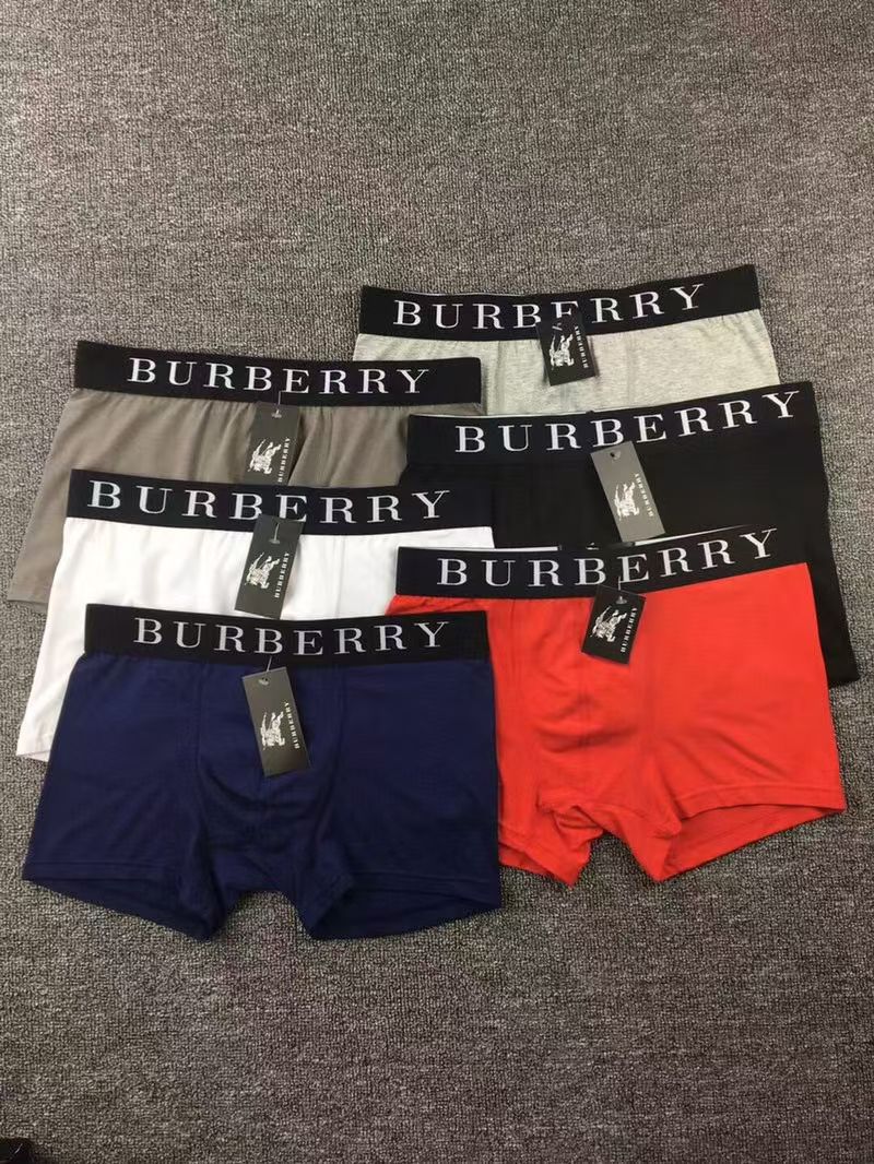 Burberry BoldBand Briefs – Modern Crest Edition