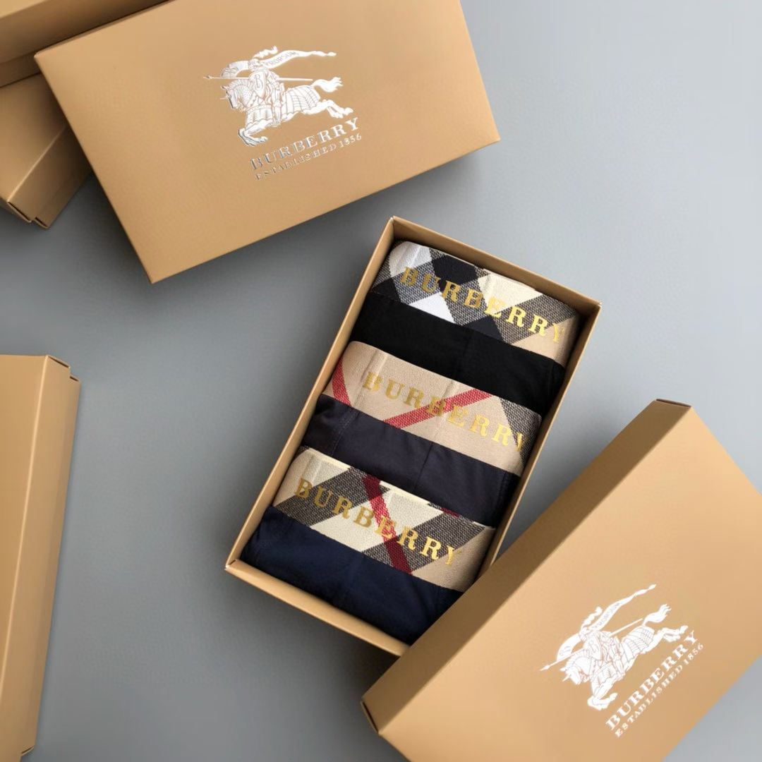 Burberry CheckBand Briefs – IconLine Edition