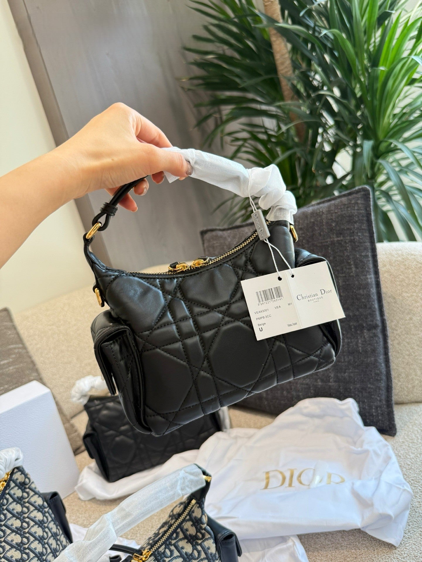 Dior Hobo Handbag (Small Size)